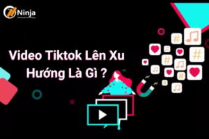 Video tiktok lên xu hướng là gì